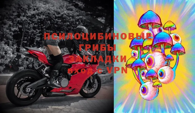 Псилоцибиновые грибы Psilocybine cubensis Наволоки